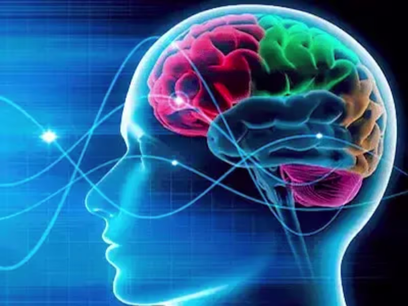 Cover image for Neuroplasticity