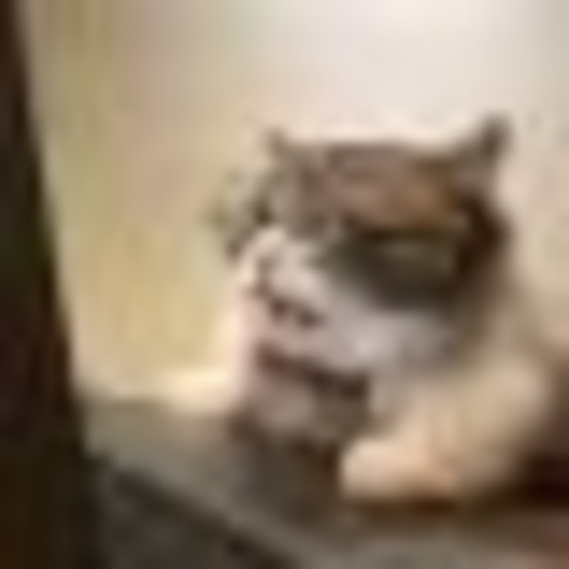 Cover image for Edviron - NestJS Payment Gateway API