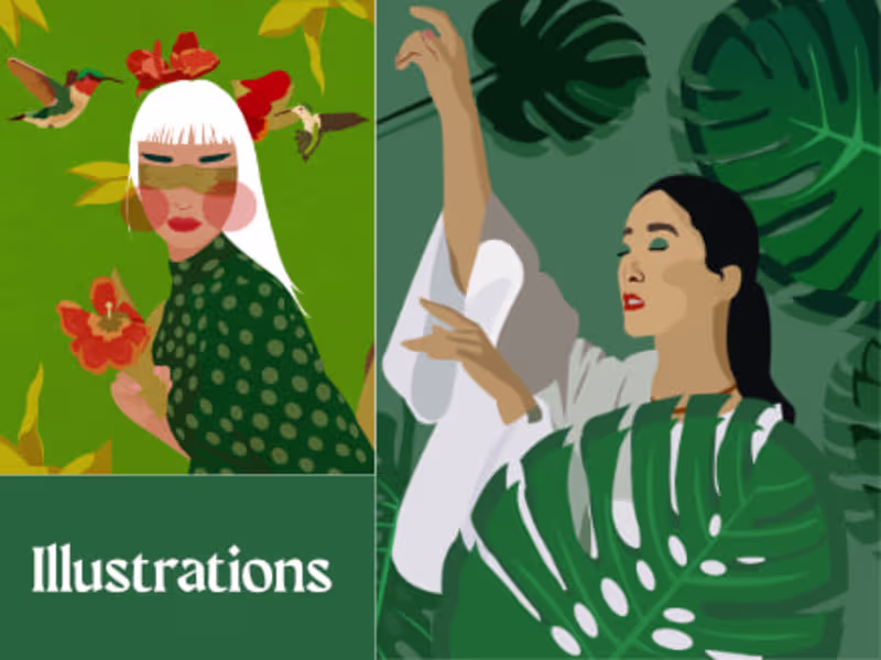 Cover image for  Illustration Collection No.1
