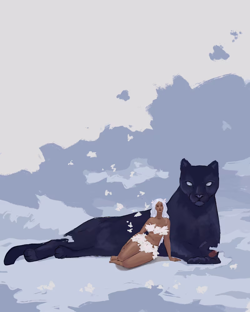 Cover image for Cloud fairies