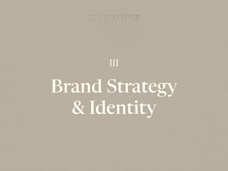 Cover image for Brand Strategy & Identity