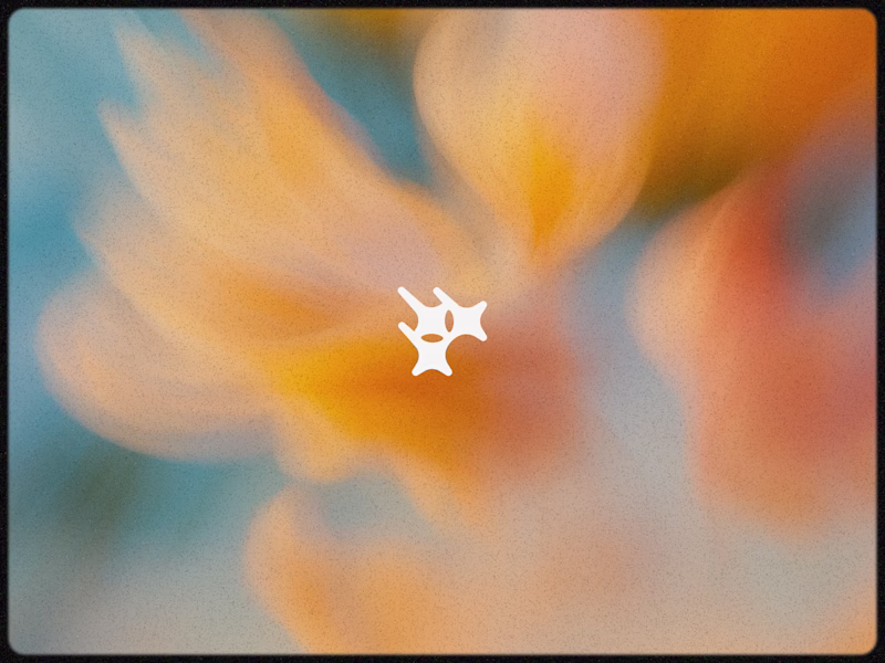 Cover image for Logo Archive.