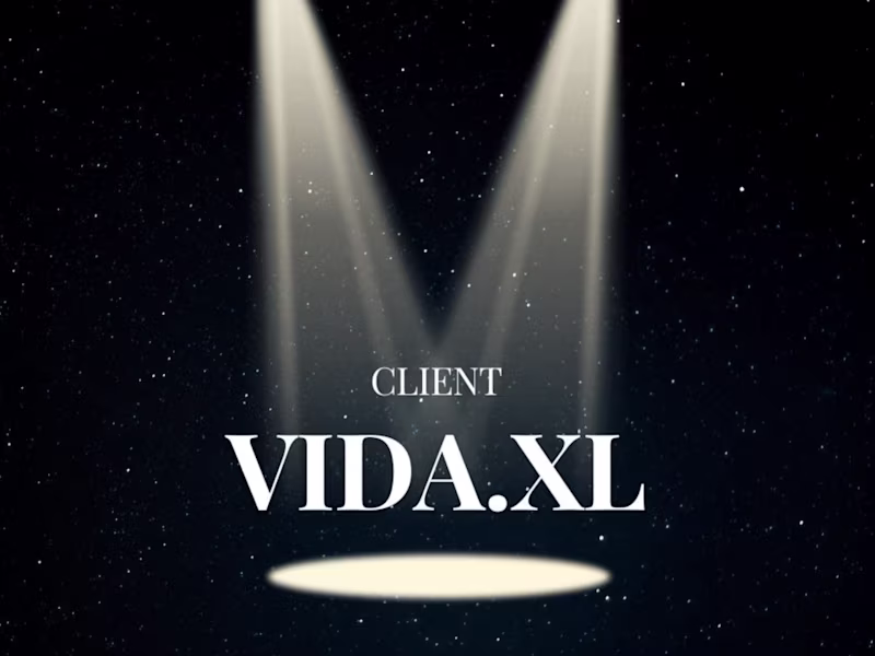 Cover image for Comprehensive Digital Marketing/Translation for vidaXL