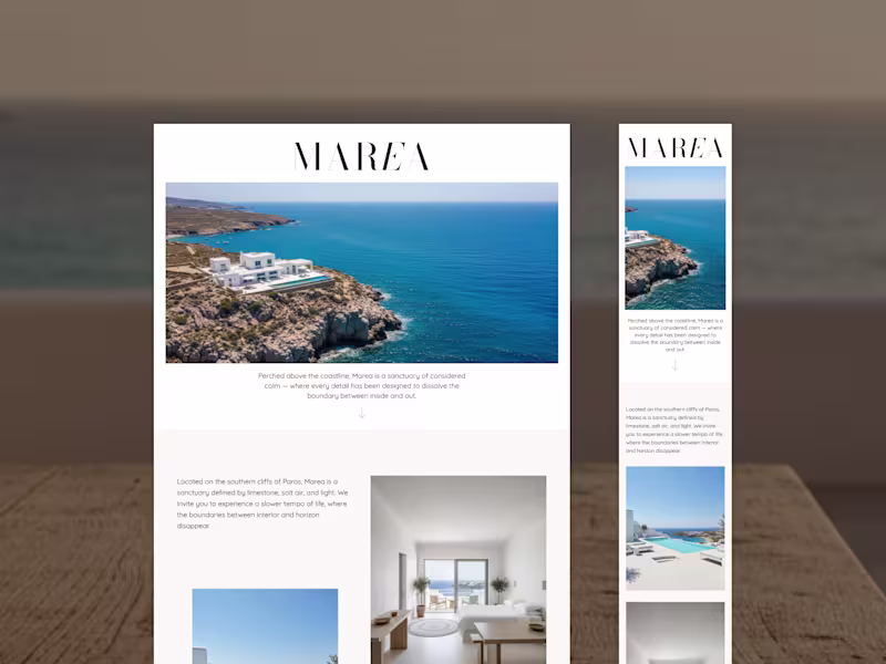 Cover image for Website Design & Development