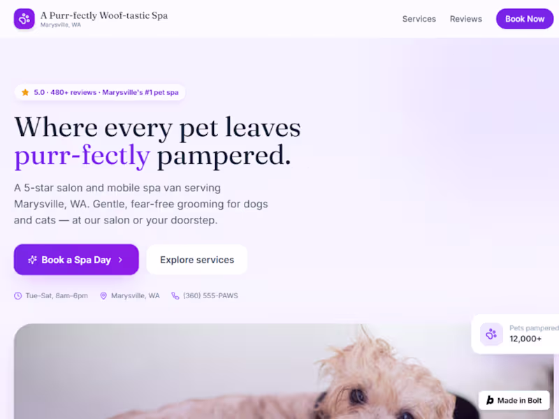 Cover image for Pet Spa Digital Architecture Revamp