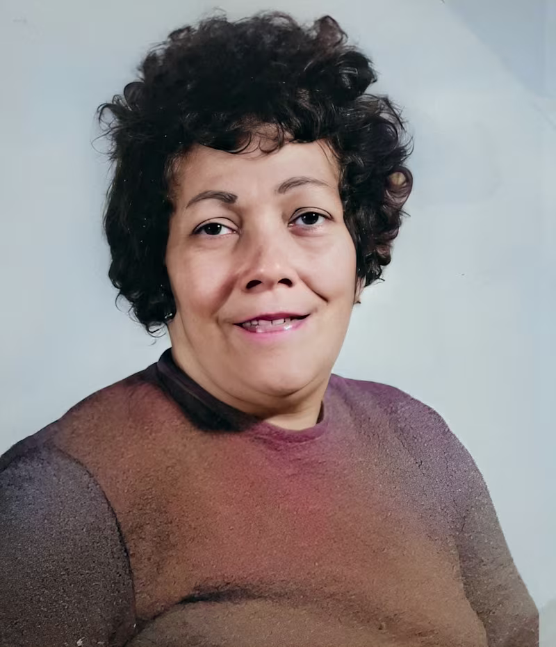 Cover image for Photo Colorization