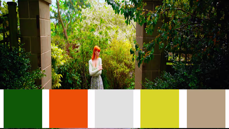 Cover image for from RAW TO a cinematic