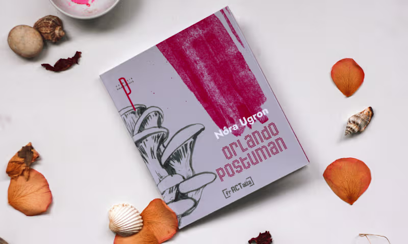 Cover image for Cover&Illustrations for Orlando Postuman