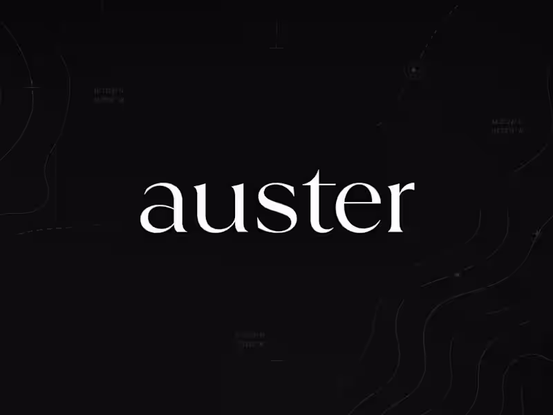 Cover image for Auster Network