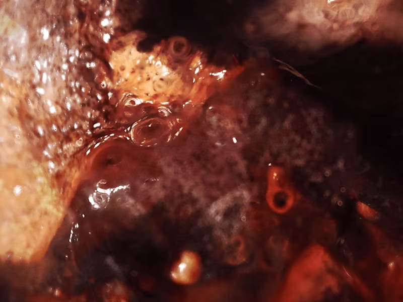 Cover image for Expired