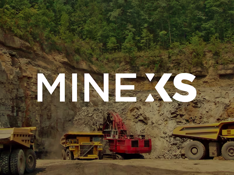 Cover image for MineXS