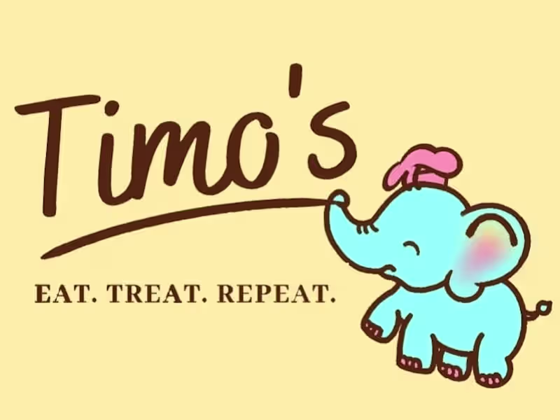 Cover image for Timo's