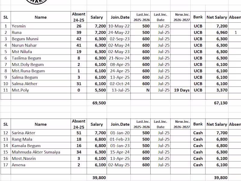 Cover image for Salary sheet