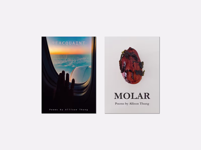 Cover image for Published Poet