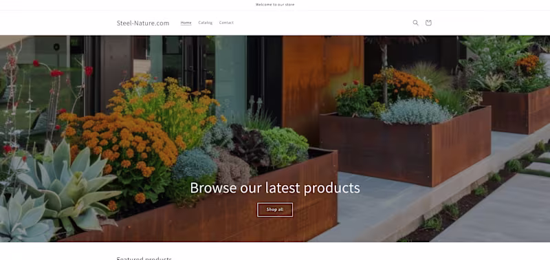 Cover image for Shopify Store