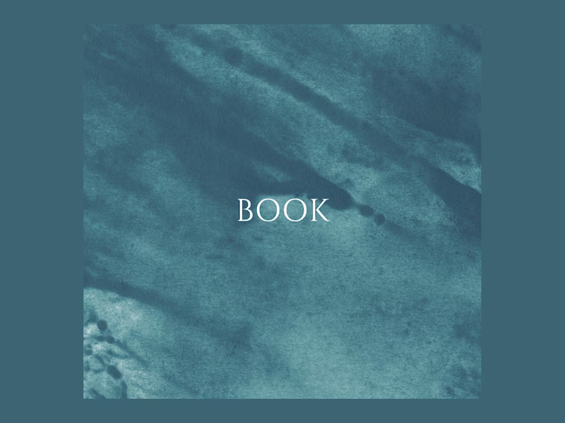 Cover image for Book snippet, Personal development topic