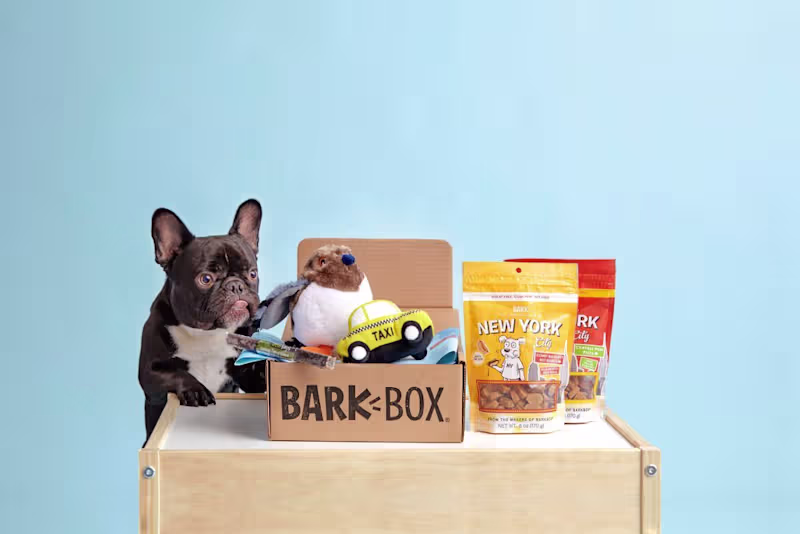 Cover image for From a Scrappy Startup to a Multi-Million Dollar Brand