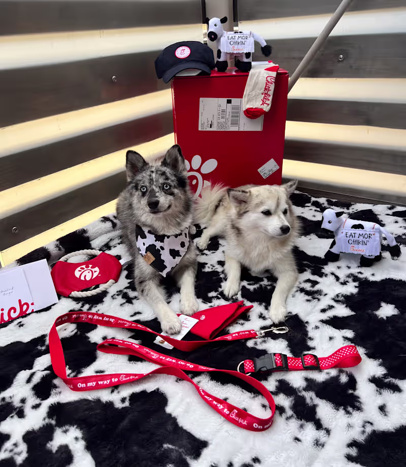 Cover image for Gifted brand collaboration with Chick-fil-a,