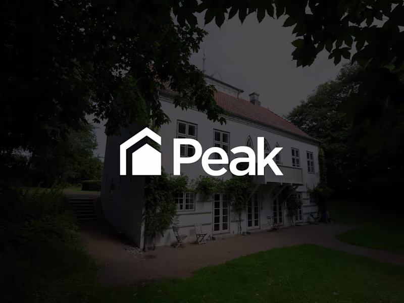 Cover image for Peak Brand Identity