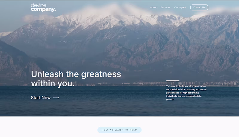 Cover image for Web Design & Messaging for The Devine Co.