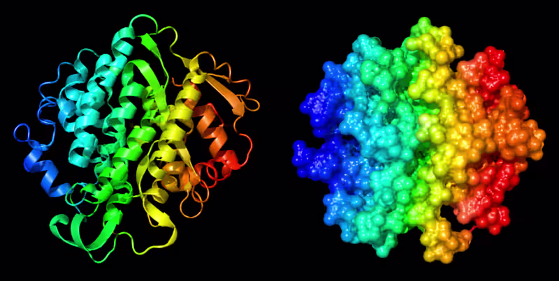 Cover image for 3D Structural Modelling of CNGC2
In-silico