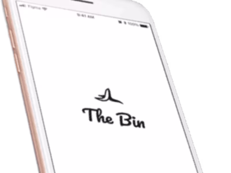 Cover image for The Bin