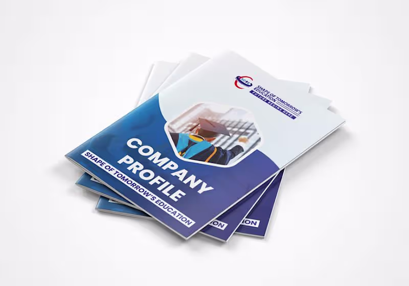 Cover image for Overview

I made a professional company