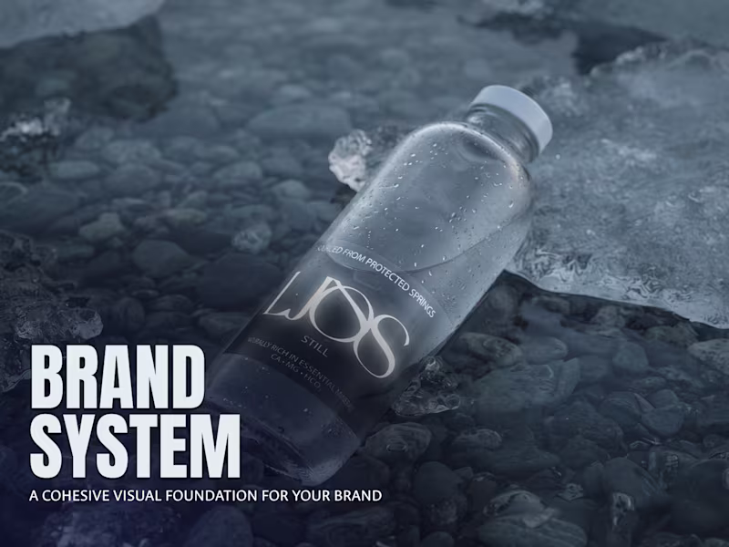 Cover image for Brand System