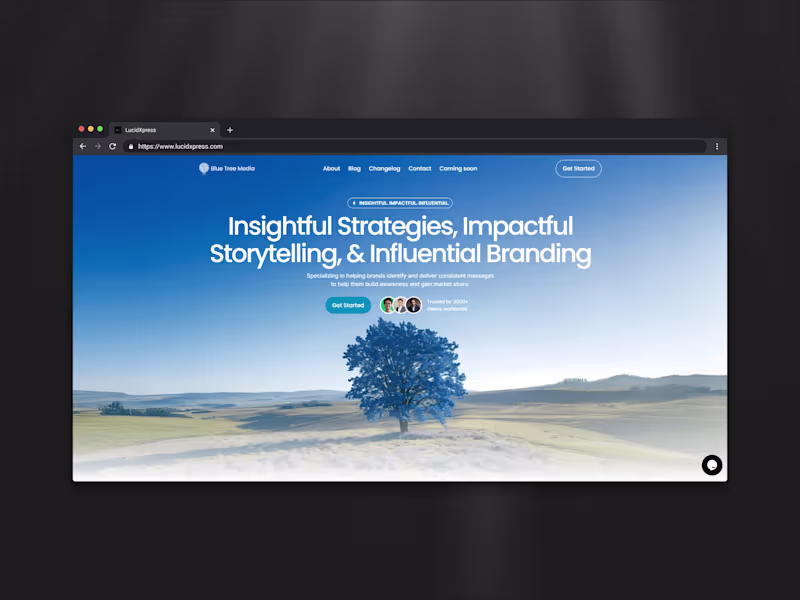 Cover image for Blue Tree Media Website Redesign