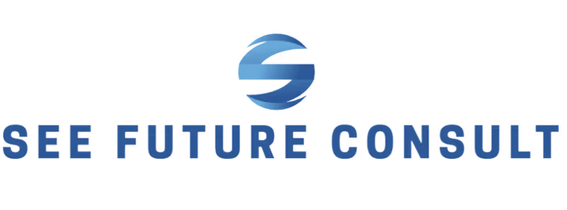 Cover image for See Future Consult