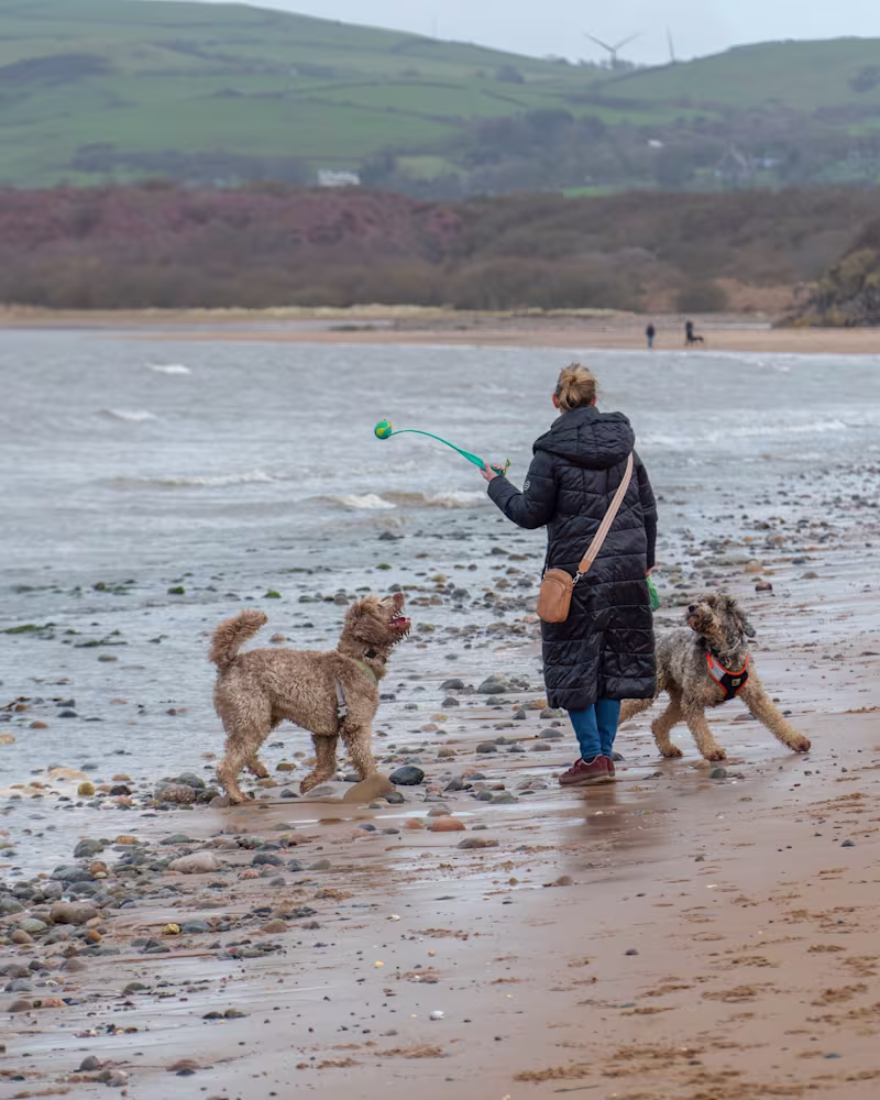 Cover image for Dog walker promotion photoshoot