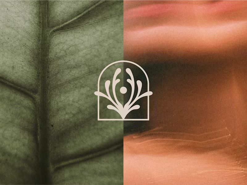 Cover image for A fuller look at the