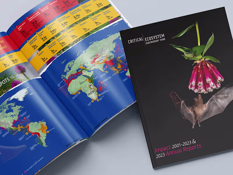 Cover image for Impact + Annual Combined Report° 