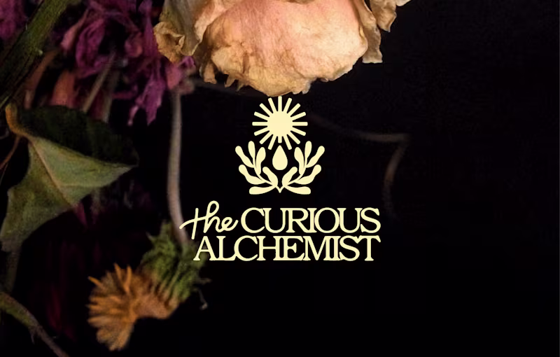 Cover image for THE CURIOUS ALCHEMIST