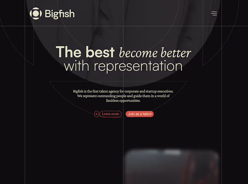 Cover image for BigFish