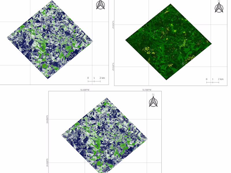 Cover image for Use of analysis indexes to assess vegetation