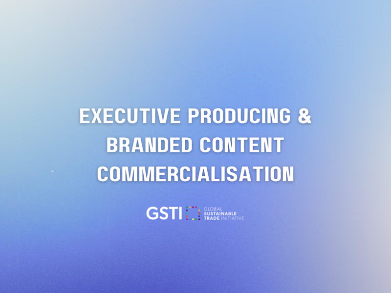 Cover image for B2B Media & Commercial Strategy - GSTI