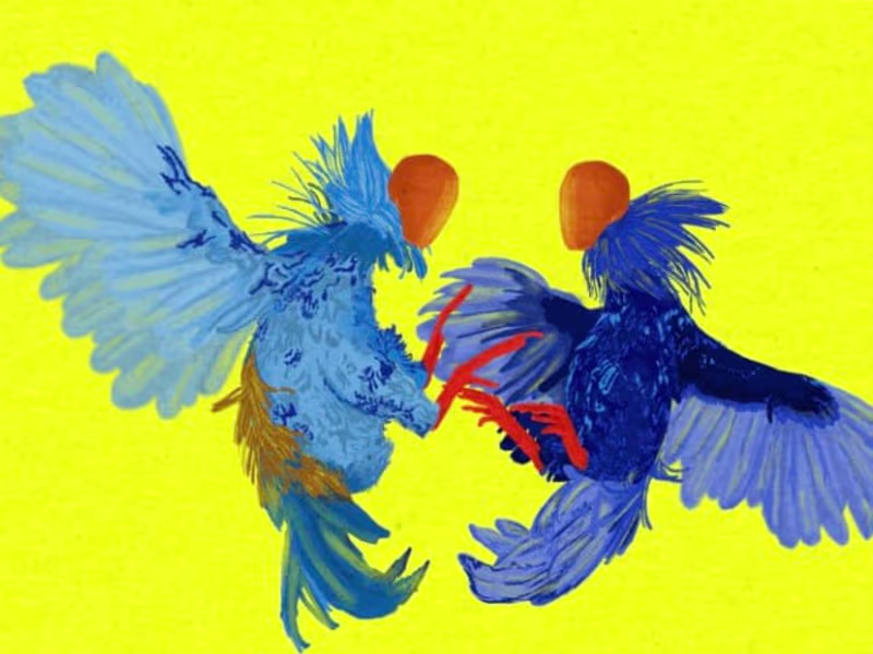 Cover image for Bring Your Vision to Life: Vibrant Illustration Services