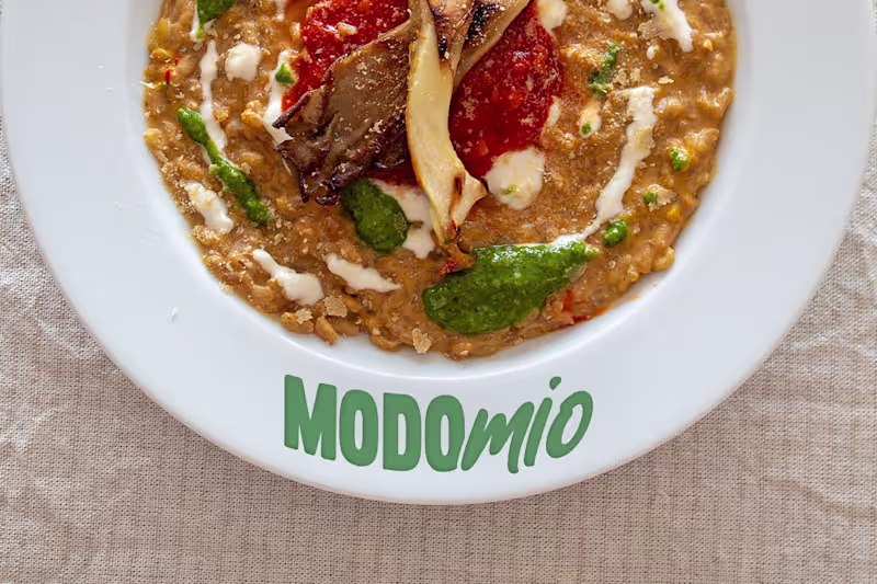 Cover image for Brand Identity for Modo Mio