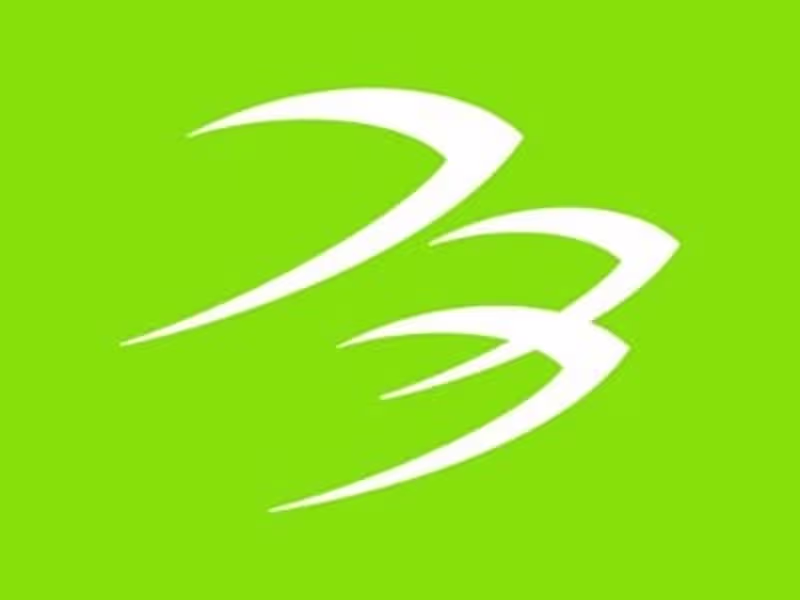 Cover image for Blackhawk Networks