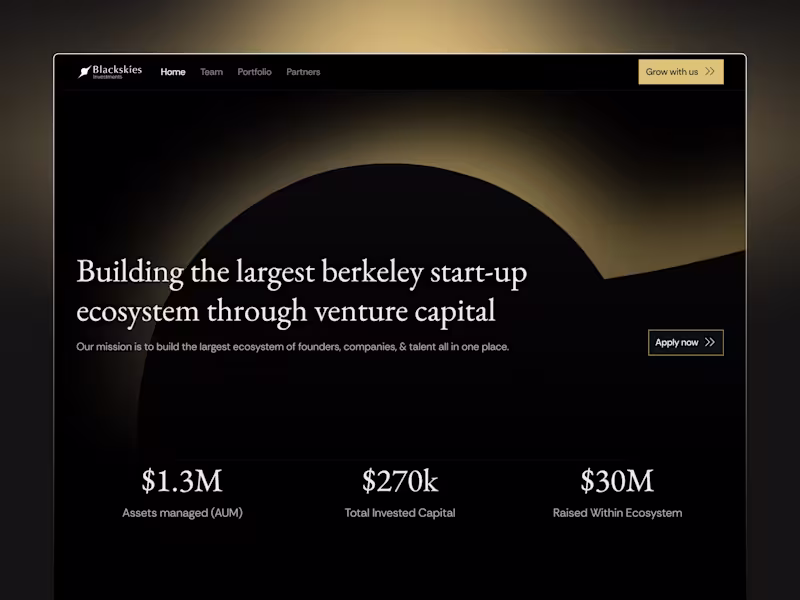 Cover image for Blackskies Investment Website Development
