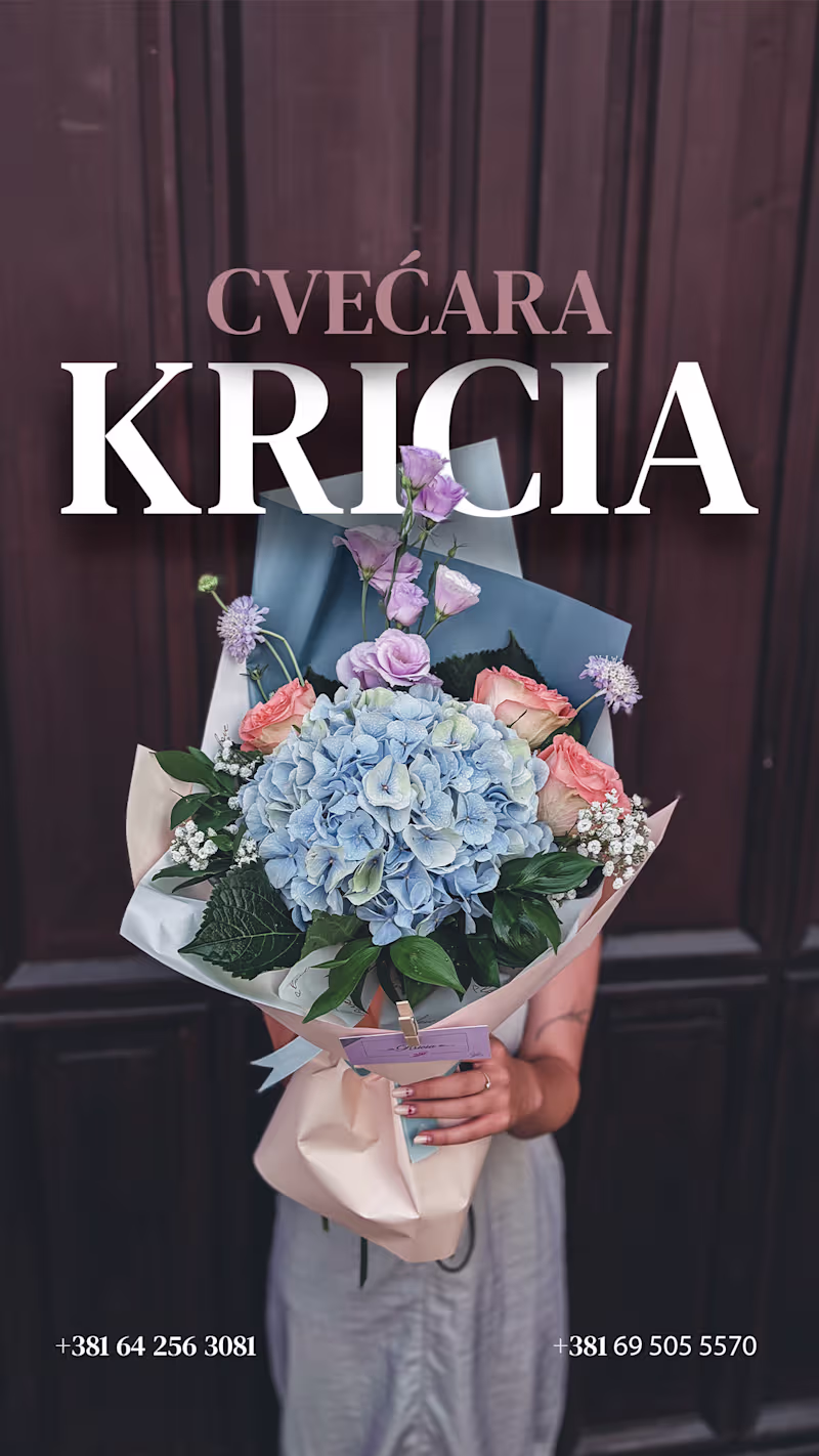 Cover image for Designed a vertical social media