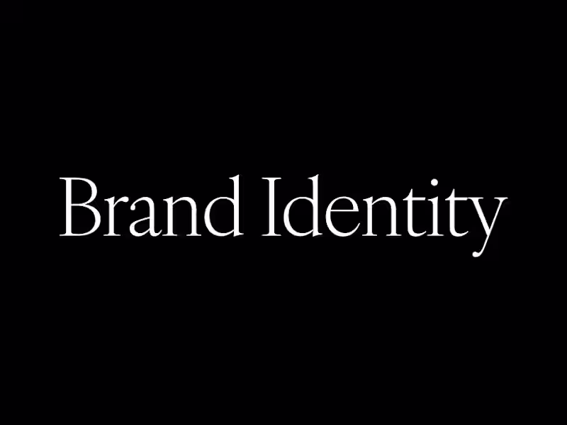 Cover image for ⚡Elevated Identity | Brand Identity Package