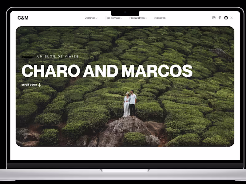 Cover image for Travel Blog web design