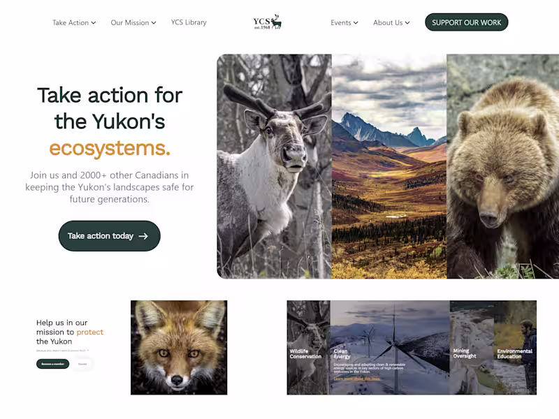 Cover image for Yukon Conservation Society