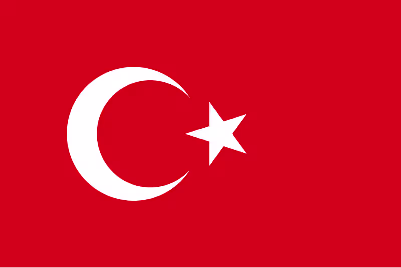 Cover image for English to Turkish Translation