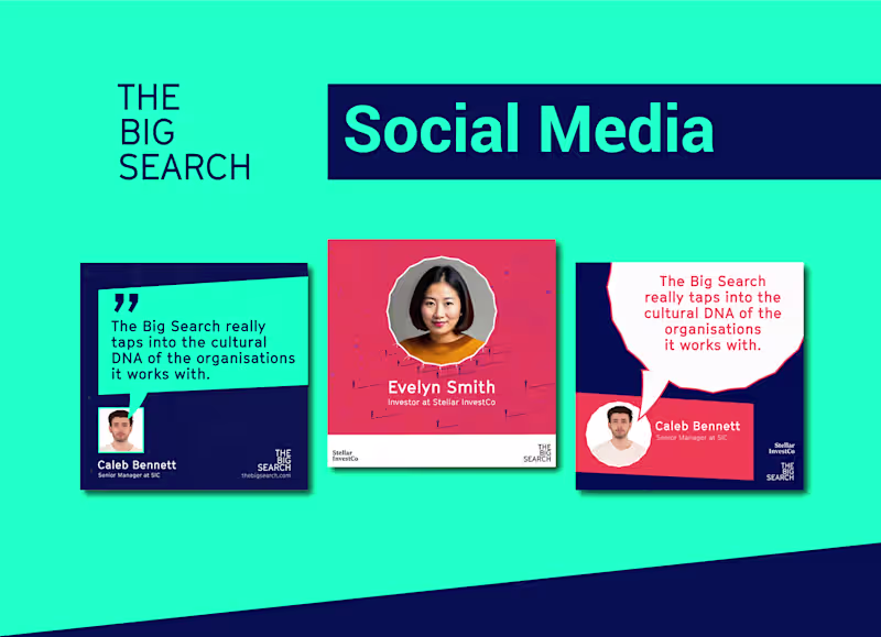 Cover image for The Big Search - LinkedIn Posts Redesign