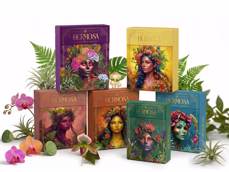 Cover image for Hermosa Product Expansion and Visual Language Development