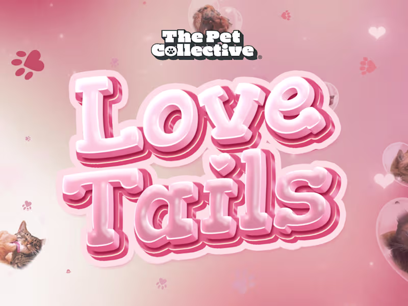 Cover image for Custom Broadcast Motion Branding for The Pet Collective [47M+]