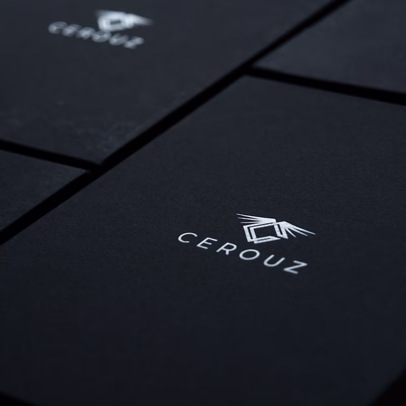 Cover image for Cerouz is a luxury accessories